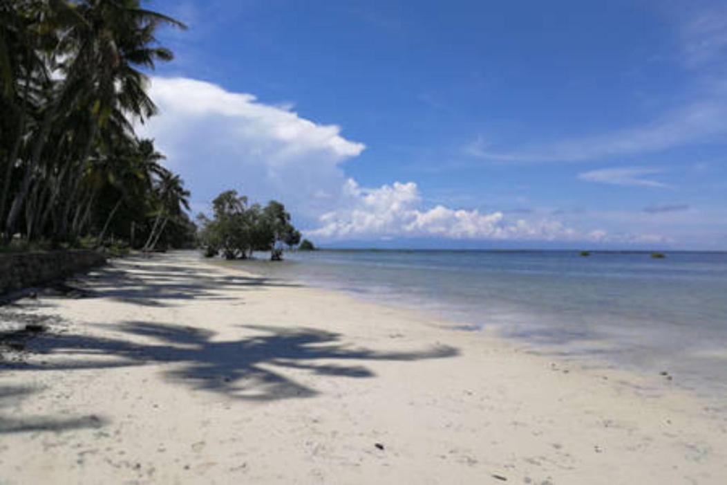Bamboo Nest Beachfront Puerto Princesa Zewnętrze zdjęcie